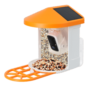 Smart Bird Feeder with 1080P Camera