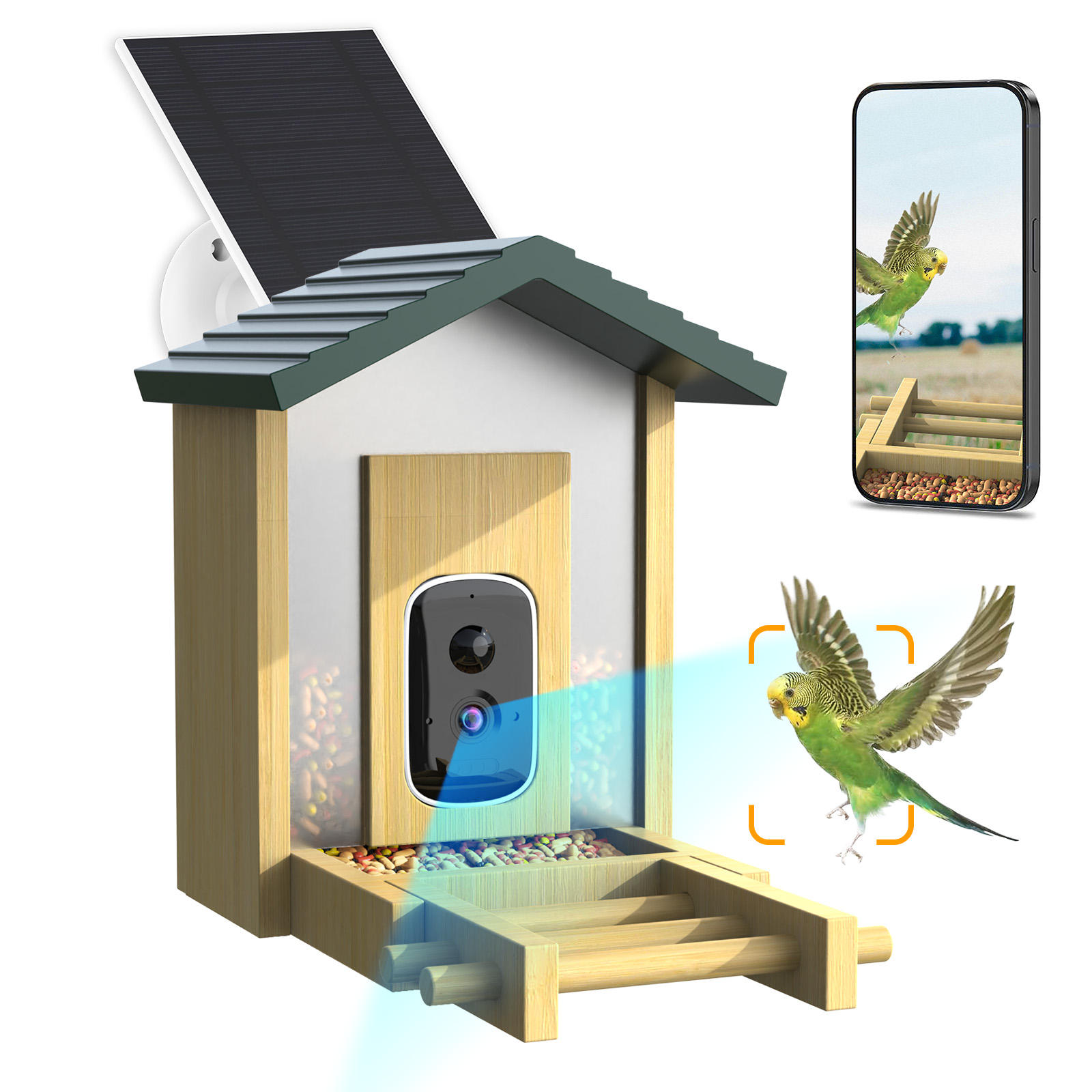 Smart bird feeder with cameras